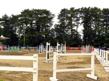 2025度関東ブロック大会　東京都代表選手団　競技成績